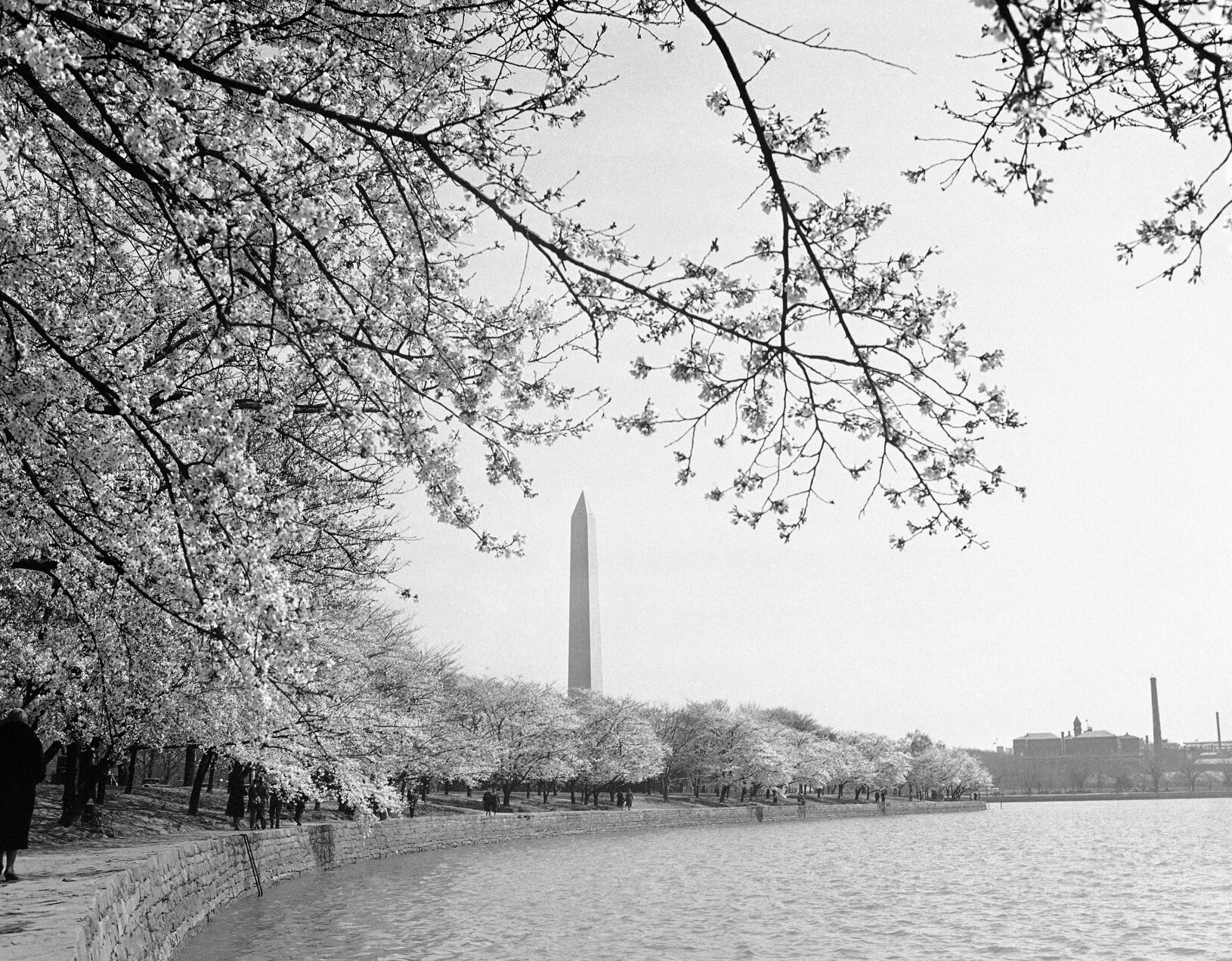 1885: The Washington Monument